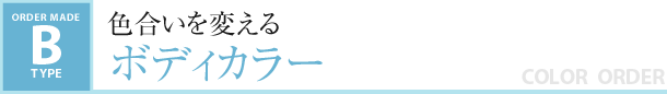 色合いを変える　ボディカラー